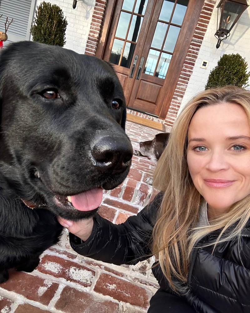 Reese Witherspoon: 'Holidays Are Just Better With Dogs!'