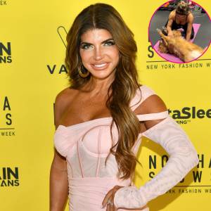 Pup Support! RHONJ’s Teresa Joined By Dog During Workout Session