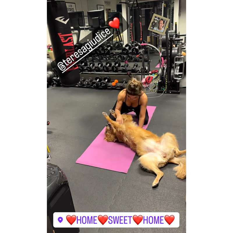 Pup Support! RHONJ’s Teresa Joined By Dog During Workout Session