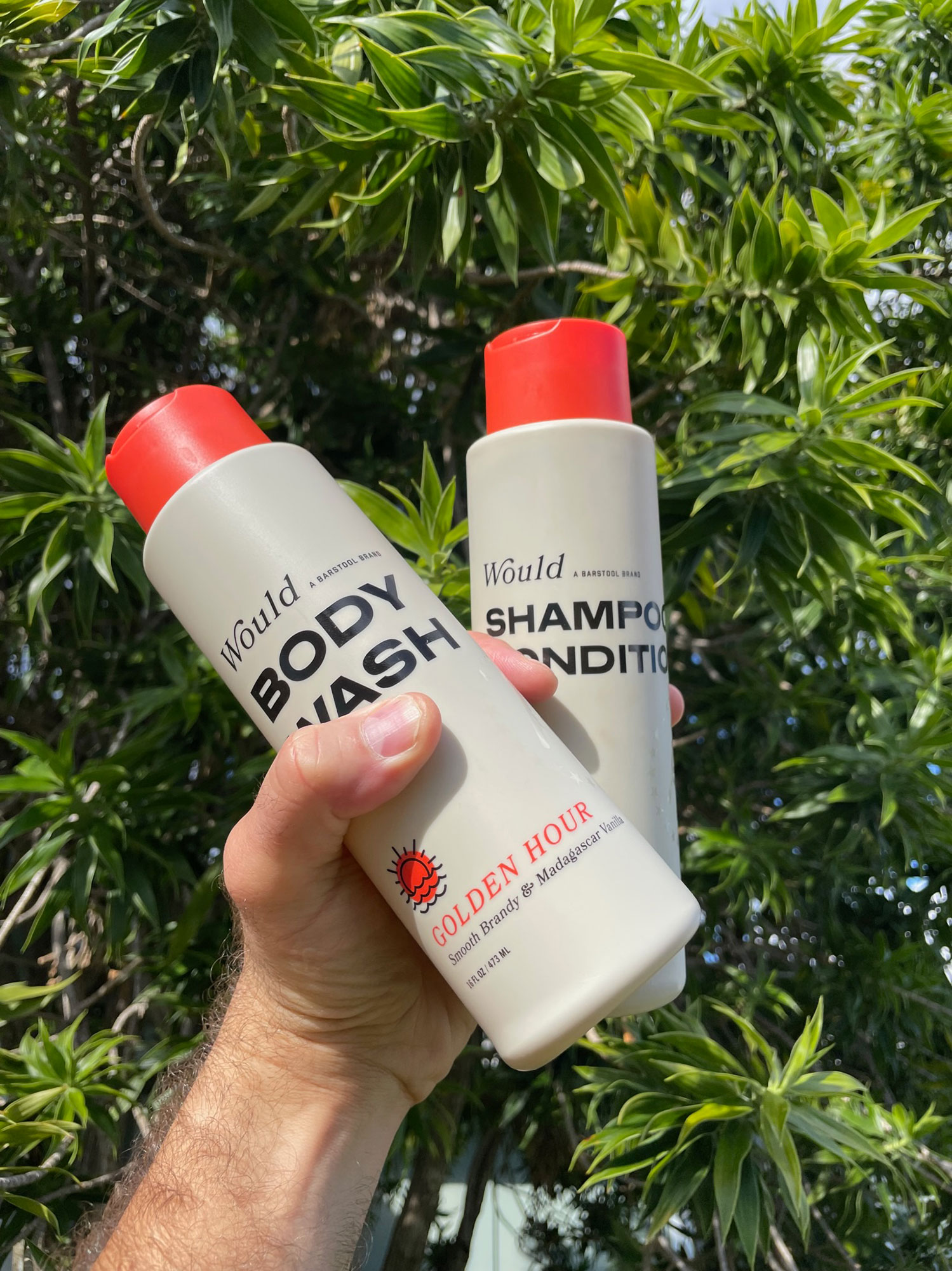 Would Body Wash