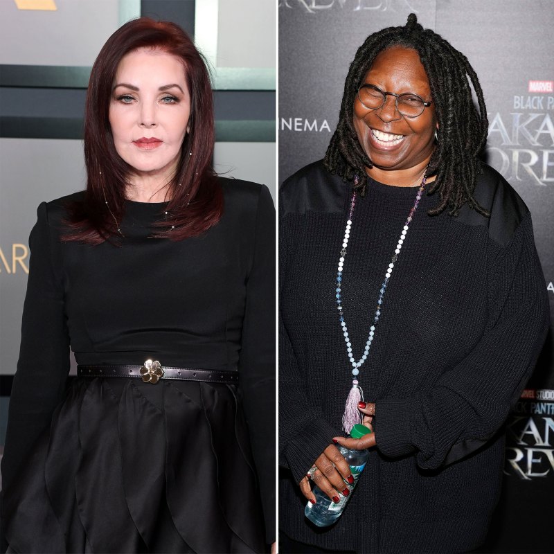 Celebrities Who Are Great-Grandparents- Priscilla Presley, Whoopi Goldberg and More - 509