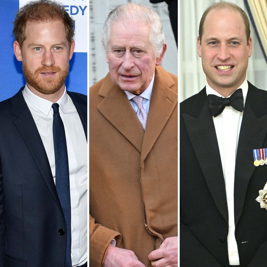 Charles Asked Feuding Harry, William Not to Make His 'Final Years a Misery