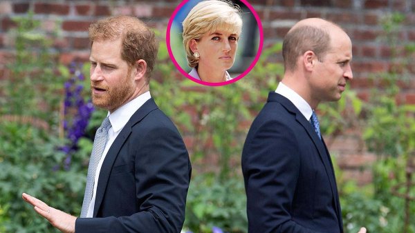 Harry Rift William Diana Alive
