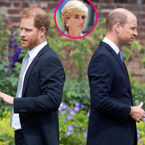 Harry Rift William Diana Alive
