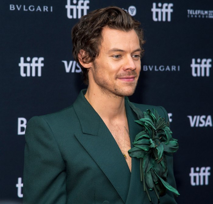 Harry Styles Spotted Hugging Sofia Krunic 2 Months After Olivia Wilde Split green blazer