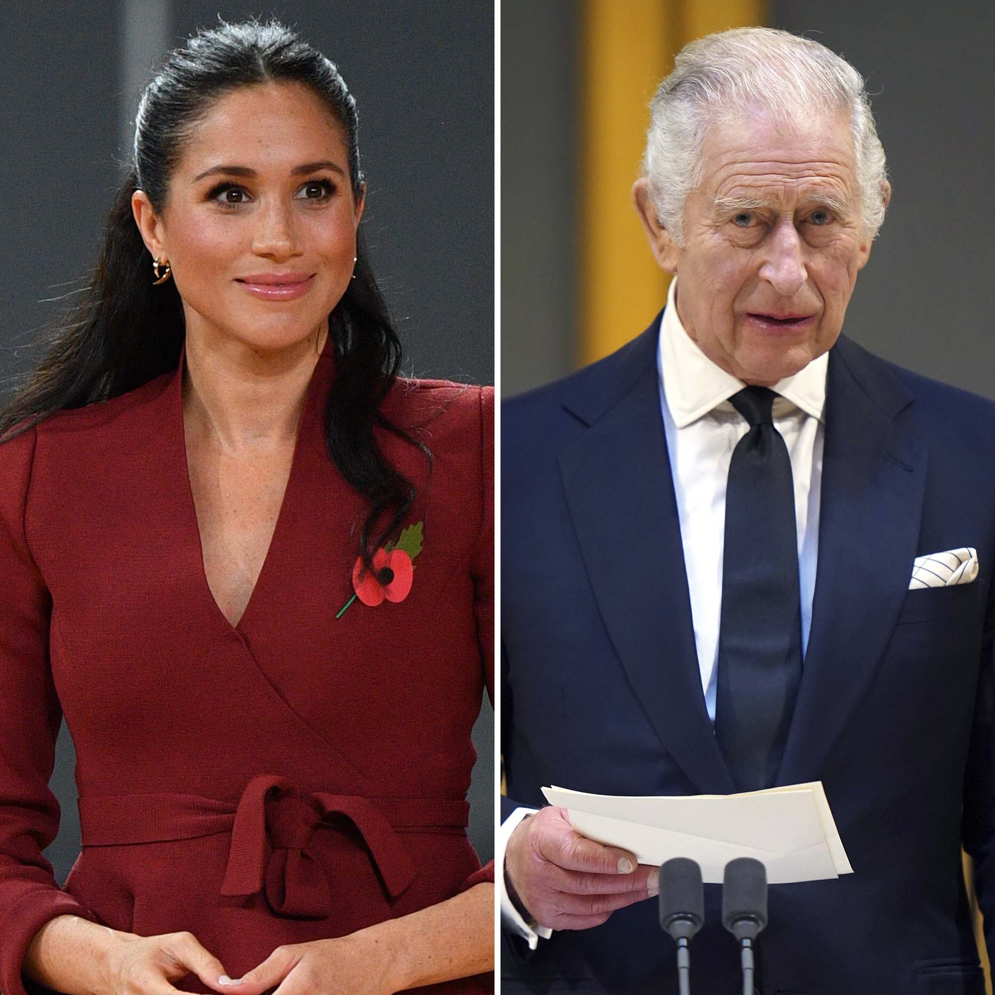 Meghan Markle Wore Little Makeup to Impress King Charles