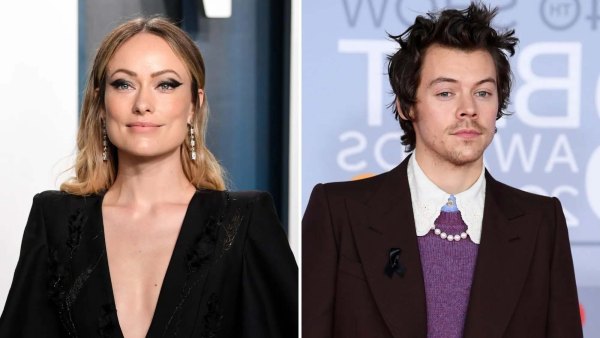 Olivia Wilde Shares Cryptic Quote About Not 'Having Loved' After Harry Split