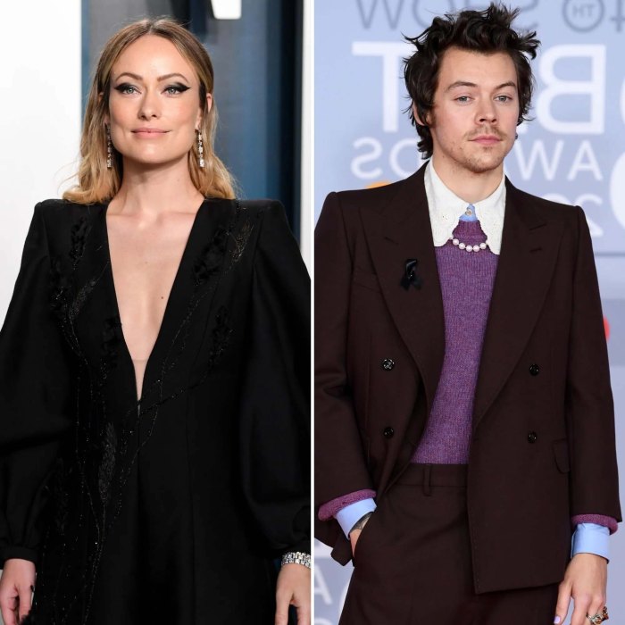 Olivia Wilde Shares Cryptic Quote About Not 'Having Loved' After Harry Split
