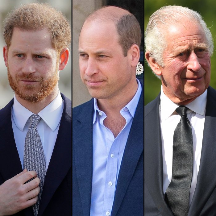 Prince Harry Admits He Hasnt Spoken With Prince William or King Charles III in a While The Ball Is Very Much in Their Court 912
