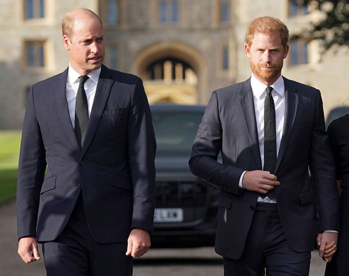 Prince Harry claims Prince William mocked anxiety at Royal Event 2