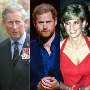 Prince Harry: King Charles told Princess Diana His 'Work Is Done' After She Gave Birth to a 'Spare' red dress
