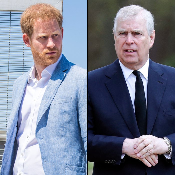 Prince Harry 'Never' Thought He'd Lose Palace Security After Prince Andrew Was Protected Amid Sexual Assault Scandal - 804