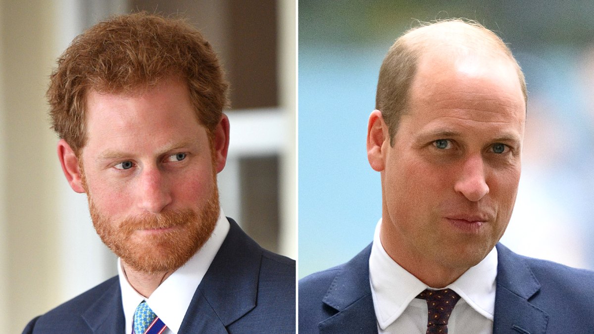 Prince Harry: Prince William Balding Is 'Alarming' and 'Advanced'