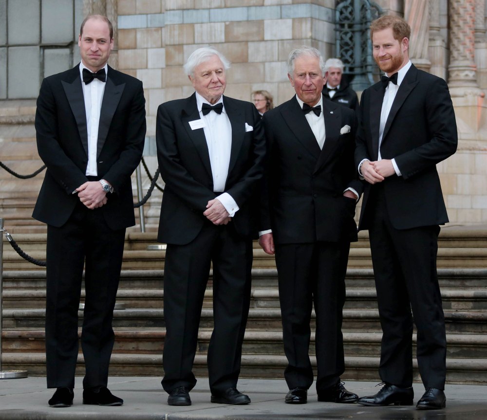 Prince Harry Wants Royals to Have 'Relationships' With Archie and Lili: I Want &lsquo;A Family, Not an Institution&rsquo; bow ties