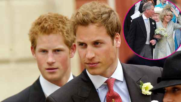 Prince Harry and Prince William Thought King Charles III’s Marriage to Queen Consort Camilla ‘Would Cause More Harm Than Good’ - 903