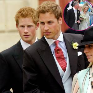Prince Harry and Prince William Thought King Charles III’s Marriage to Queen Consort Camilla ‘Would Cause More Harm Than Good’ - 903
