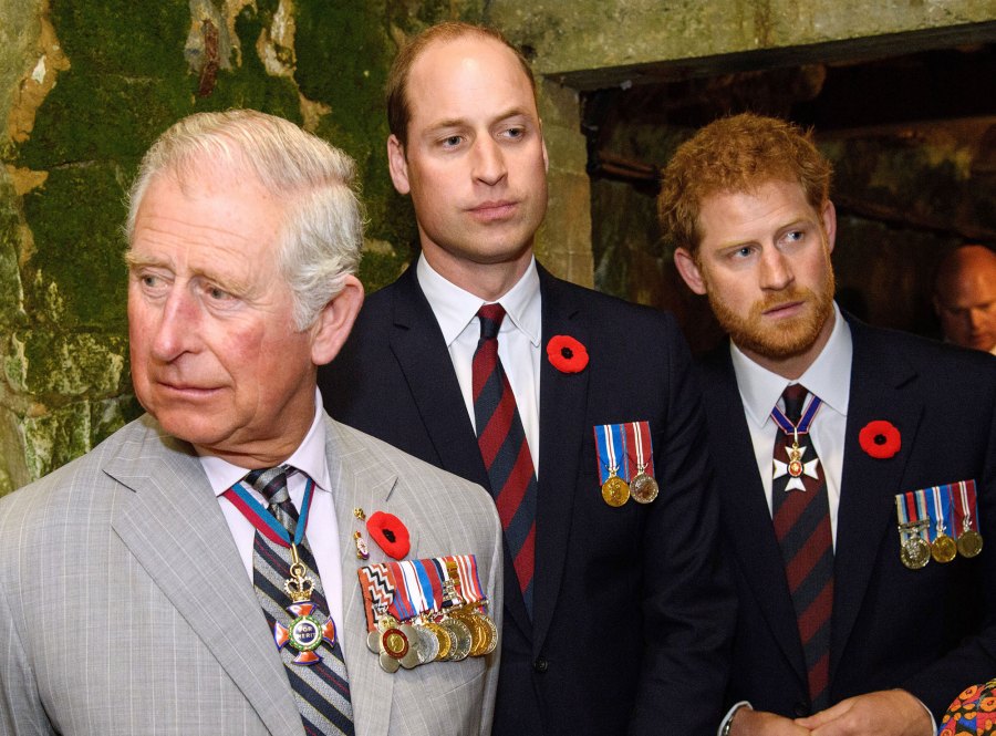 Prince Harry’s Most Illuminating Quotes About His Relationship With Prince Charles red pins