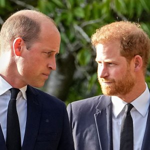 Prince William Prince Harry Prince Harry Book