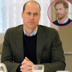 Prince William Thinks Prince Harry Is 'All Smoke and Mirrors' and 'Not to Be Trusted' -052