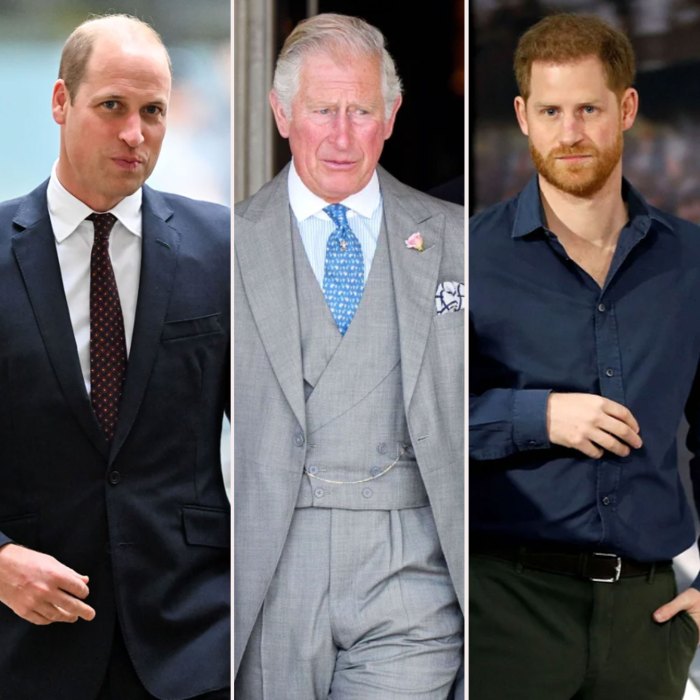 Prince William and Prince Harry Urged King Charles III Not to Marry Queen Consort Camilla After Princess Dianas Death Details 1