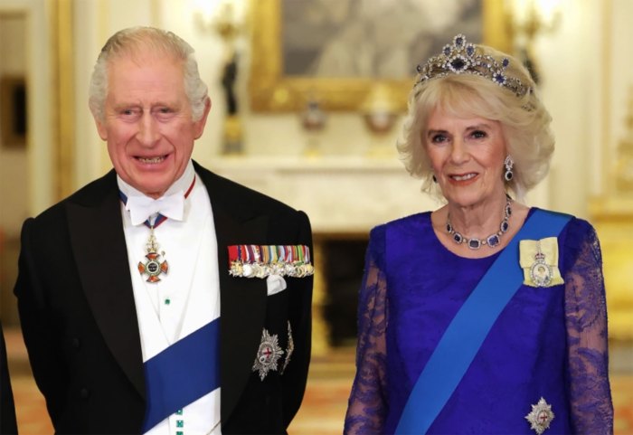Prince William and Prince Harry Urged King Charles III Not to Marry Queen Consort Camilla After Princess Diana's Death: Details royal blue dress