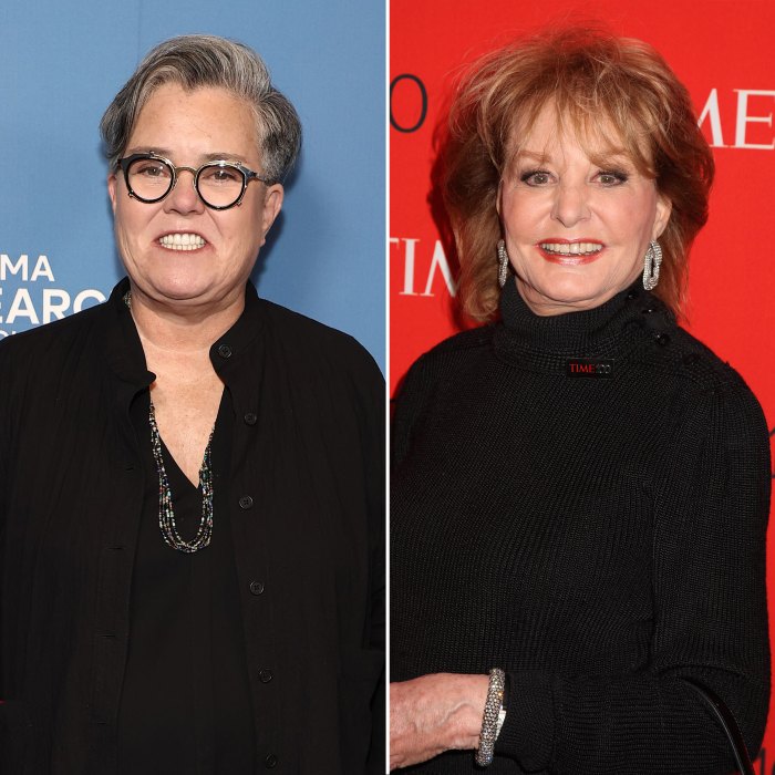 Why Rosie O'Donnell Wasn't Part of The View's Barbara Walters Tribute