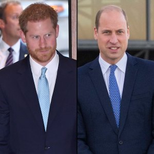 Prince Harry Defends Comment About Prince William’s Balding: ‘I Don’t See It as Cutting’
