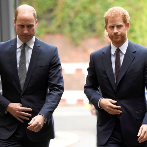 Prince Harry Refers to Prince William as His ‘Archnemesis’ in ‘Spare’ Memoir, Says Brothers Had a ‘Million Physical Fights in Our Lives’