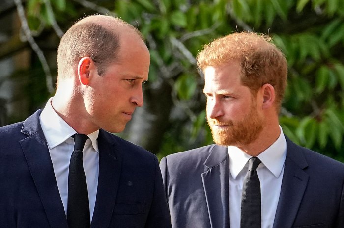 prince harry refers to prince william as archnemesis in spare