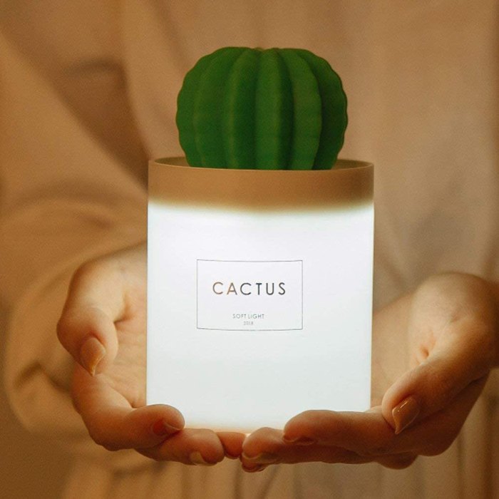 valentines-day-gifts-under-30-amazon-cactus-humidifier