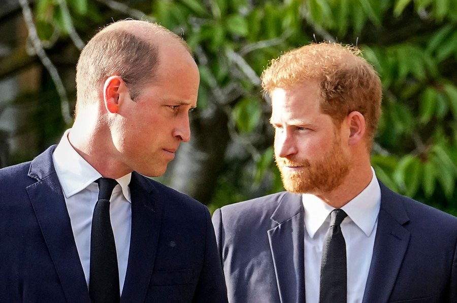 2023 Inside Prince William and Prince Harry Complicated Relationship Over the Years