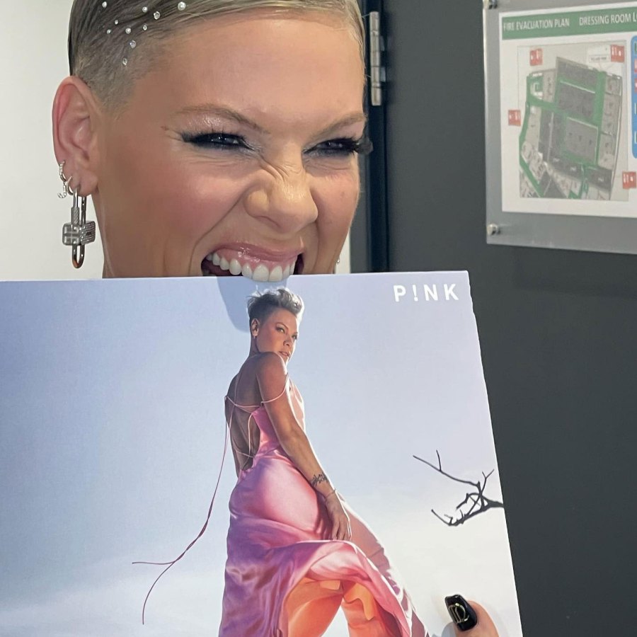 2023 Pink Instagram Pink Through The Years