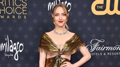Amanda Seyfried Shares Her Pick for Sophie Mamma Mia Dad