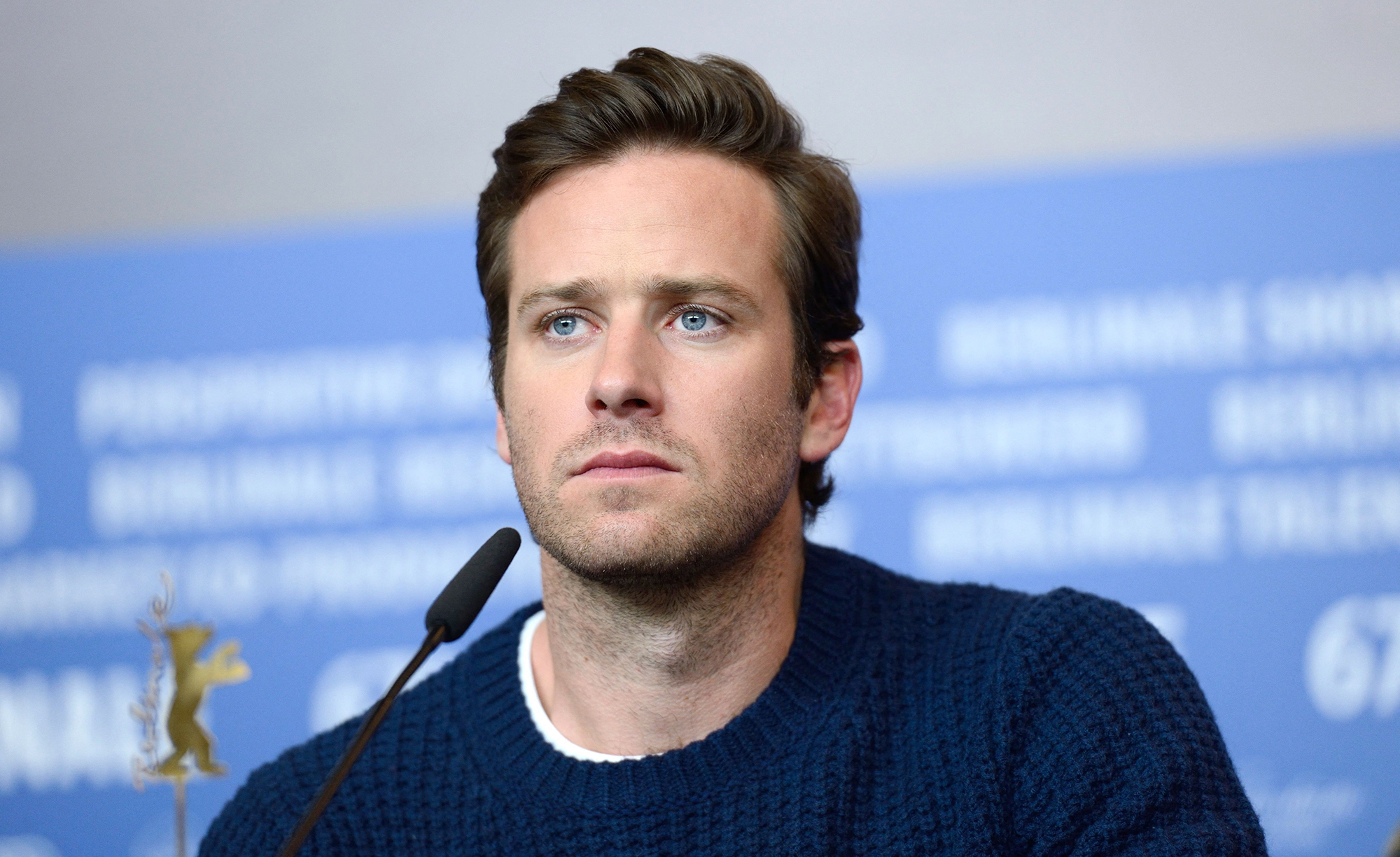 Armie Hammer Breaks Silence on Assault Claims, NSFW Fantasies pic