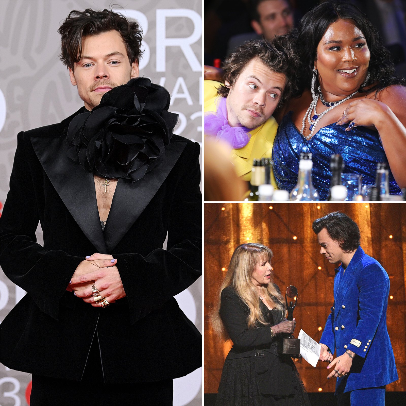 Harry Styles' Inner Circle- Stevie Nicks, Lizzo and More Famous Friends - 074