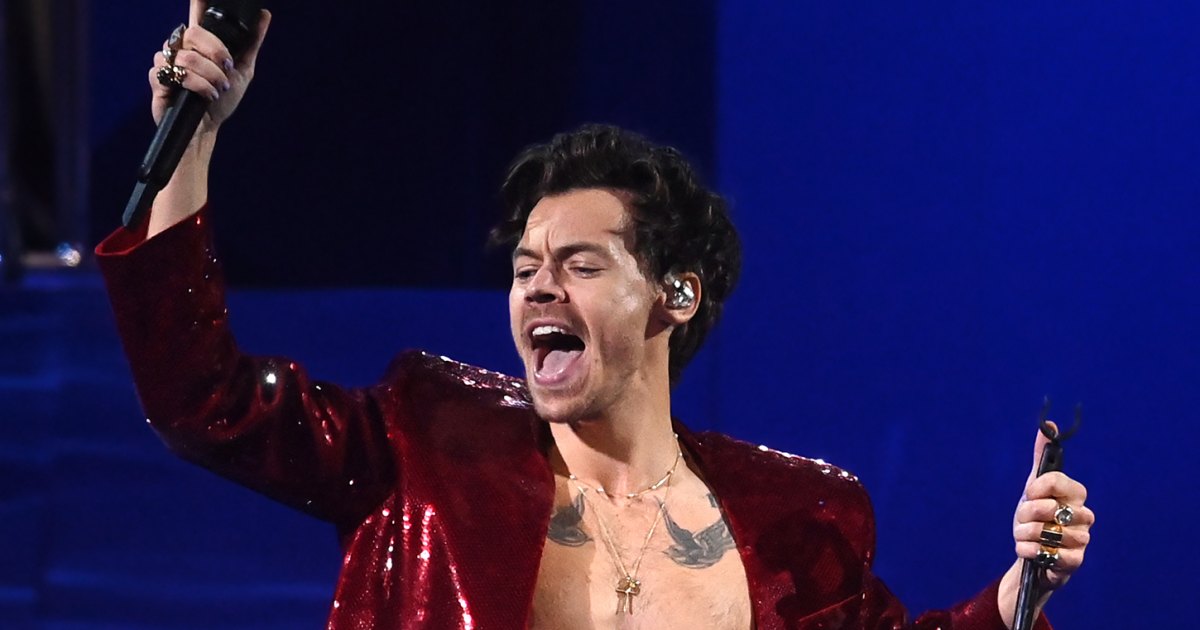 Harry Styles Heroically Stalls Concert for Pregnant Fan to ‘Go for a Wee’
