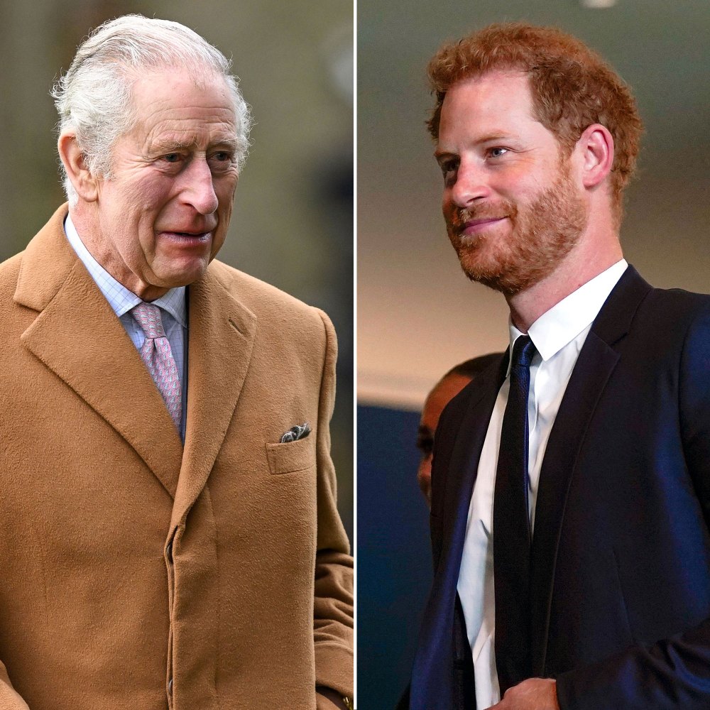 King Charles III Has A Weakness for Prince Harry