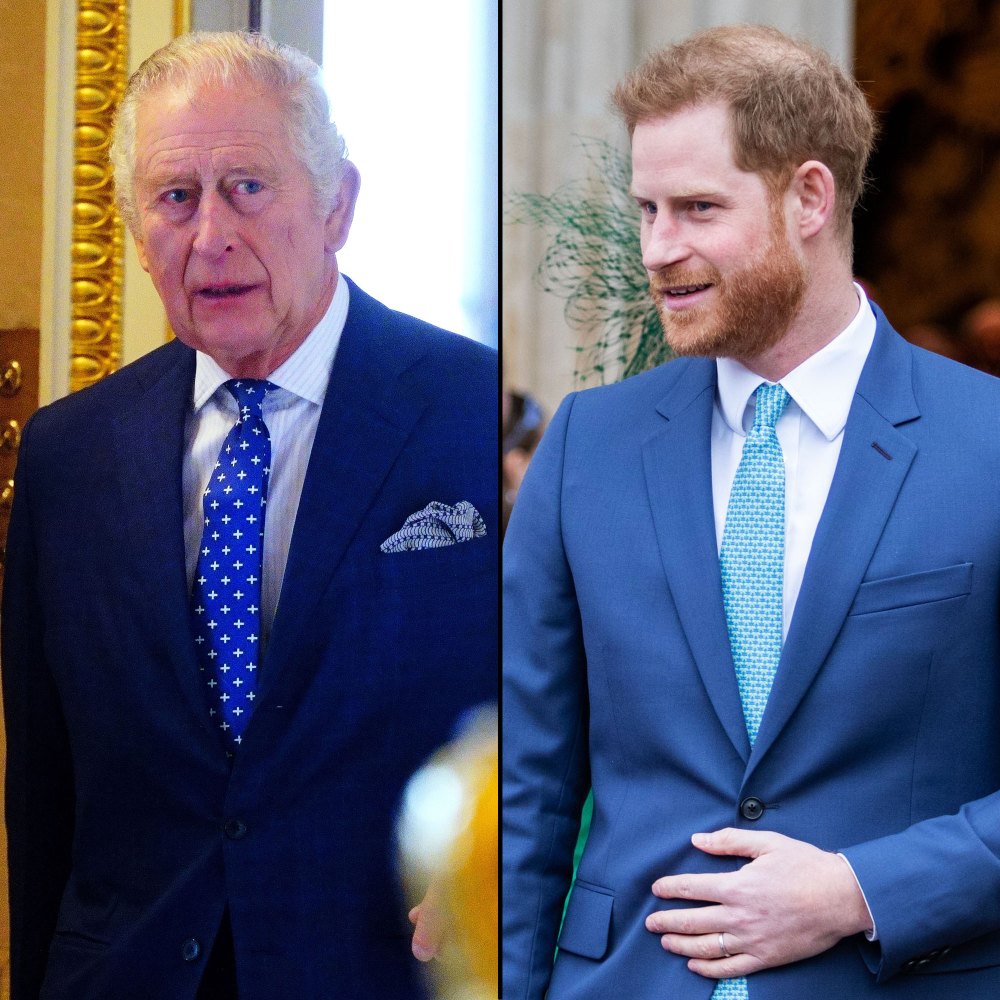 King Charles III Laughs Off Fan's Request to 'Bring Back' Prince Harry Amid 'Spare' Controversy blue tie