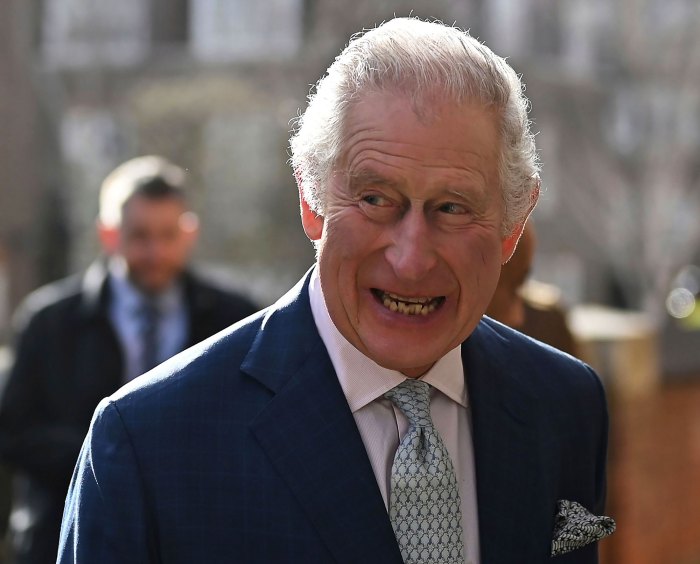 King Charles III Laughs Off Fan's Request to 'Bring Back' Prince Harry Amid 'Spare' Controversy blue suit