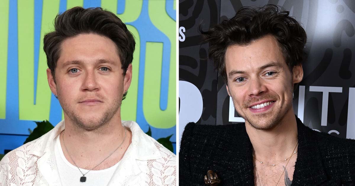Why Niall Horan’s Fans Think His New Album Will Feature Harry Styles Collab