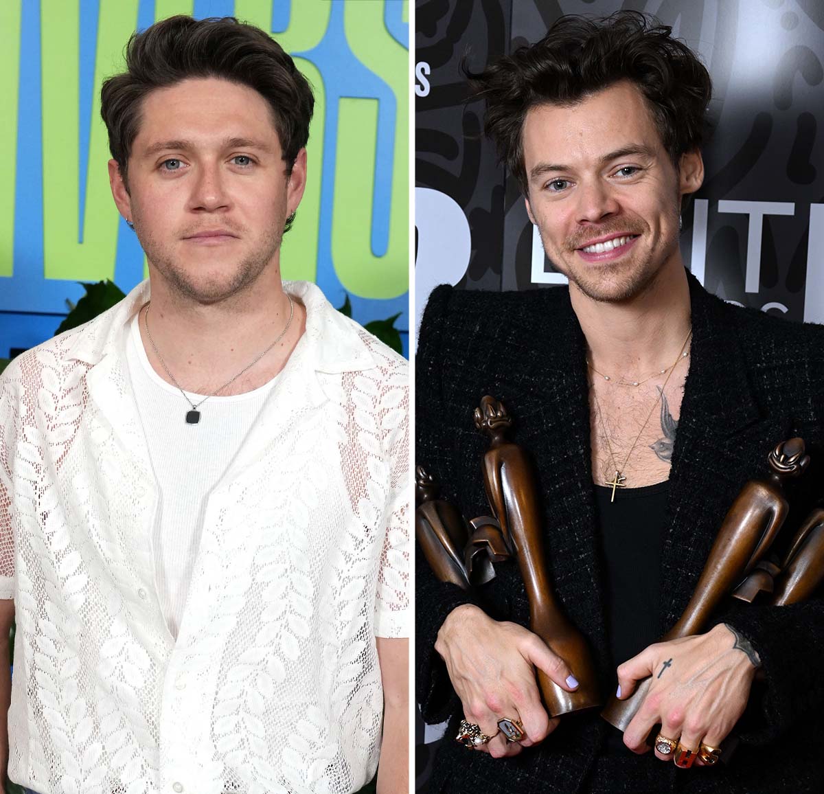 Niall Horan's Fans Think His New Album Will Feature Harry Styles UsWeekly
