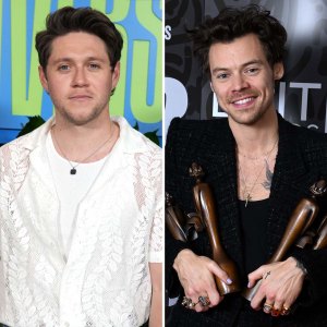 Why Niall Horan's Fans Think His New Album Will Feature Harry Styles Collab