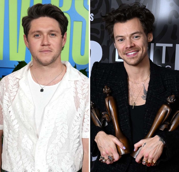 Why Niall Horan's Fans Think His New Album Will Feature Harry Styles Collab