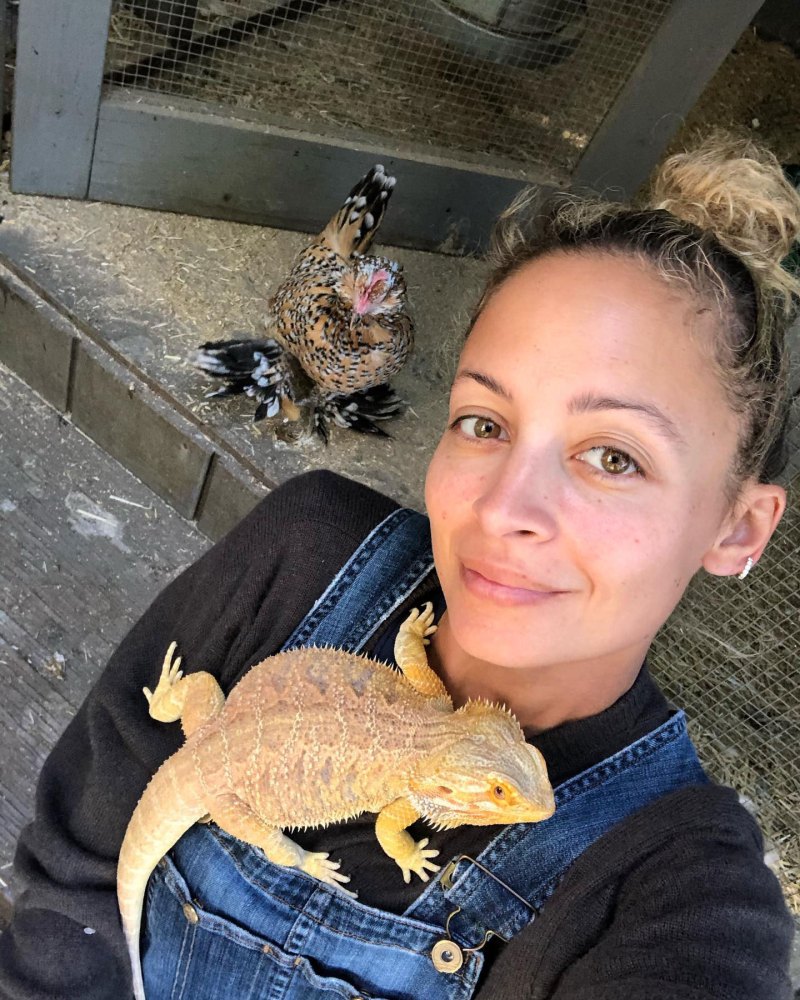 Nicole Richie and Joel Madden Nicole Richie Instagram Stars With Chicken Coops at Their Homes