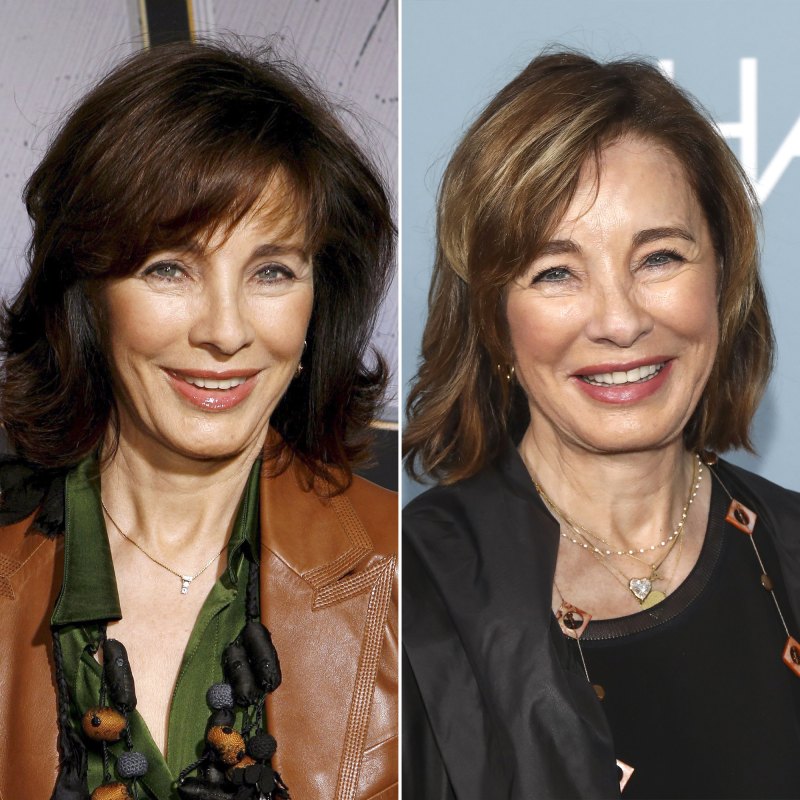'Privileged' Cast: Where Are They Now? Anne Archer
