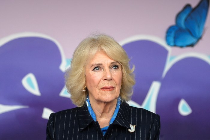 Queen Consort Camilla Tests Positive for COVID-19, Cancels Public Engagements - 778