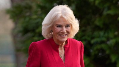 Queen Consort Camilla Through the Years: From Her Divorce to Second Chance at Love With King Charles III