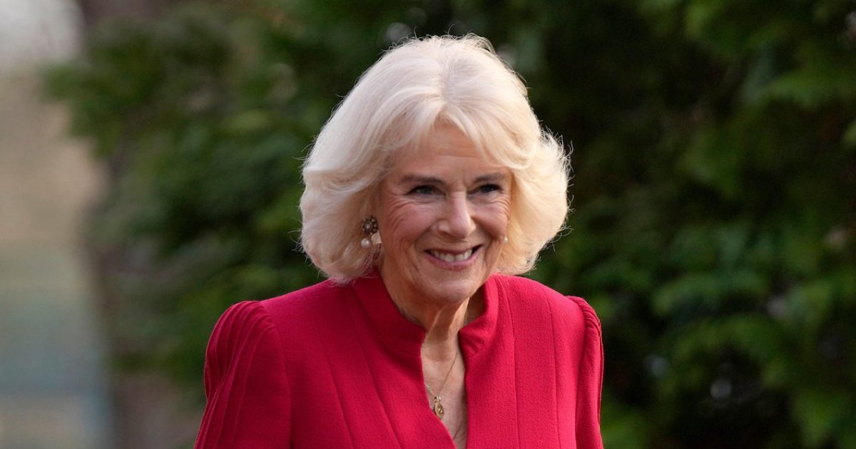 From Debutante to Royalty! Queen Consort Camilla Through the Years