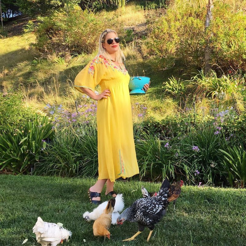 Tori Spelling Stars With Chicken Coops at Their Homes