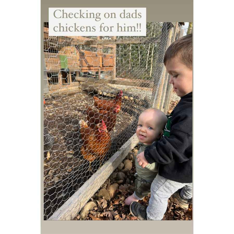 Celebrities Who Have Chicken Coops at Home